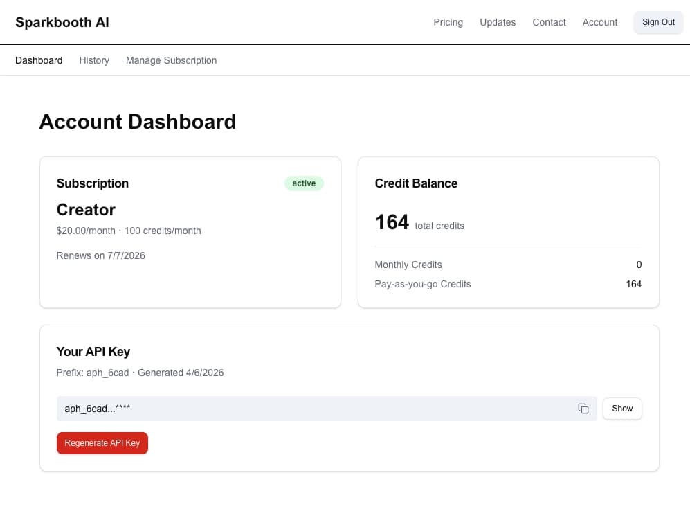 Account Dashboard with Subscription, Credit Balance, and API Key cards
